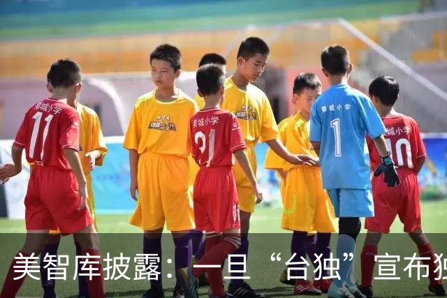 美智库披露：一旦“台独”宣布独立，仅24%大陆民众支持全面打击