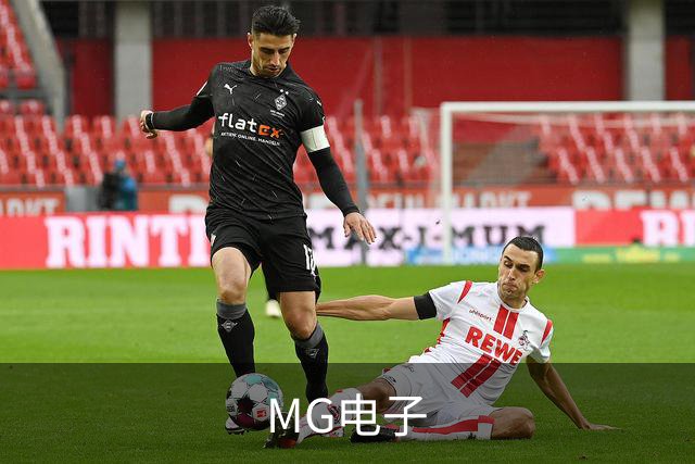 MG电子公司简介图片